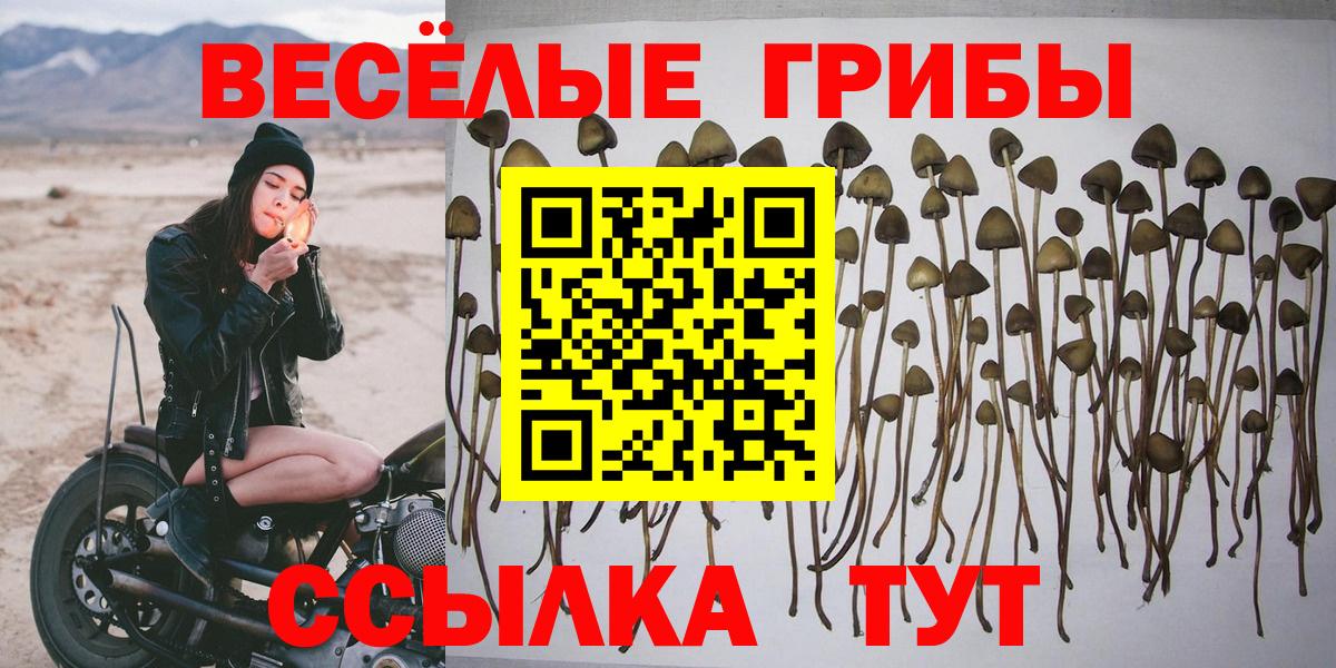 Узловая  Псилоцибиновые грибы Psilocybine cubensis  Галлюциногенные грибы Psilocybe  Вход с VPN 